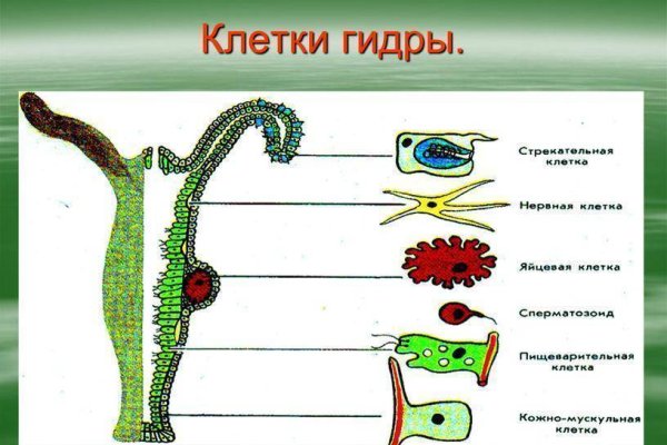 Услуги даркнета