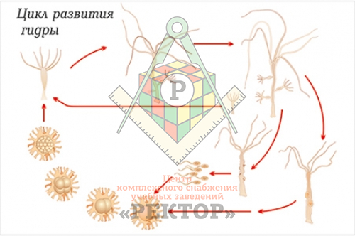 Кракен современный даркнет маркет плейс